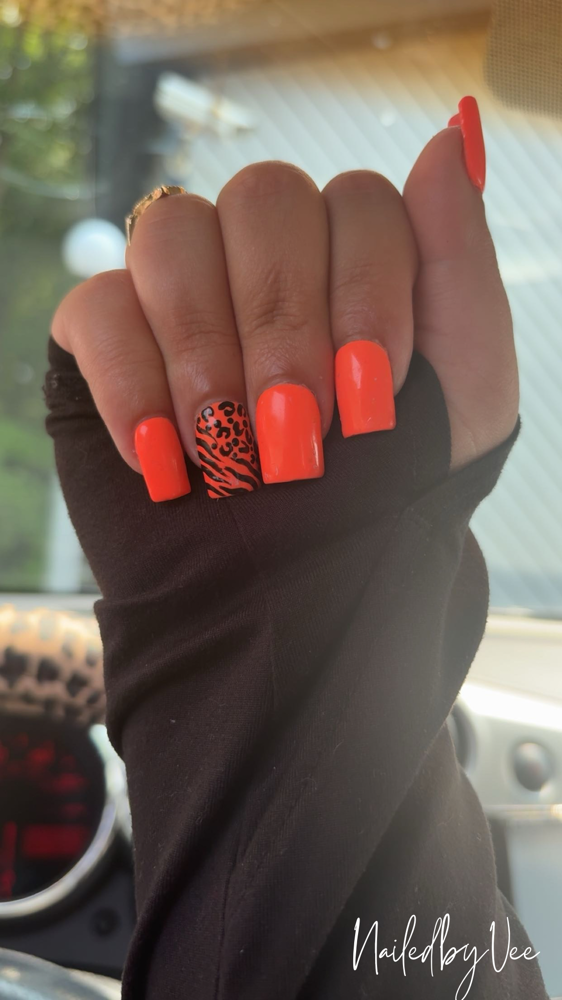 Eye of the Tiger 🐅🧡
